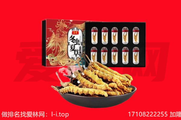 包头青山区回收虫草.jpg